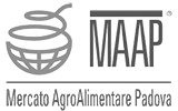 MAAP_logo_nuovo_scritta_100